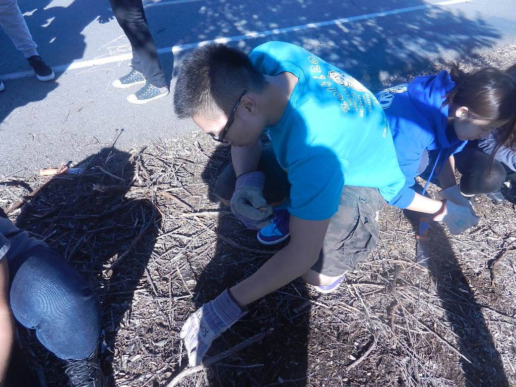 picking up trash